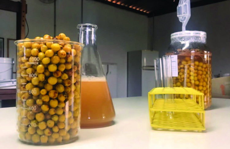 Descuentos en Suscripción - Medialuna