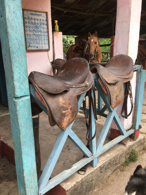 Cafe Nalu caballo